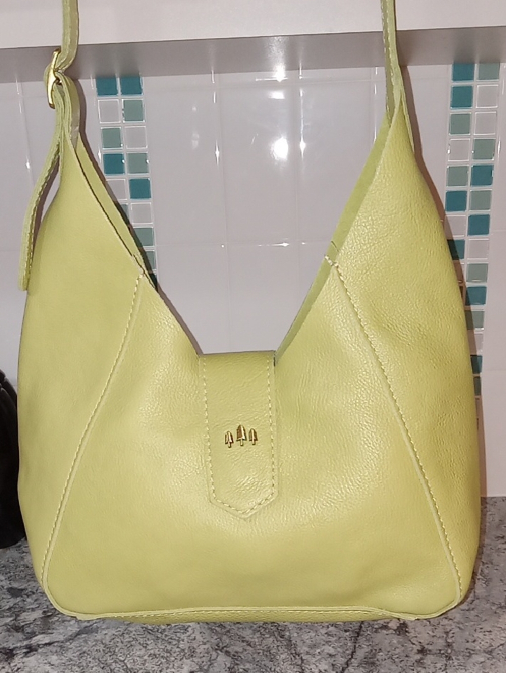 Portland Leather Bag NWOTS Sugar Snap